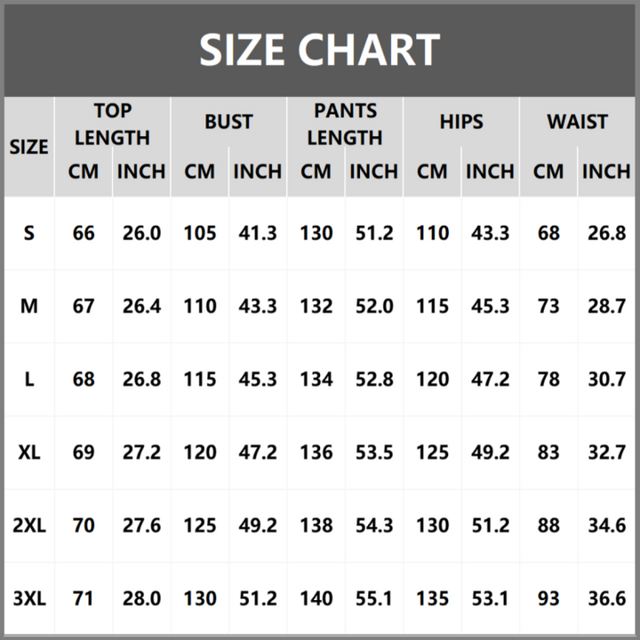 Alina - Zebra Print V-Neck Top and Pants Set